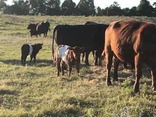 Agriculture is Important