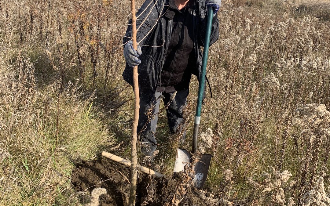 Community Tree Planting at Kettle Pond Trail